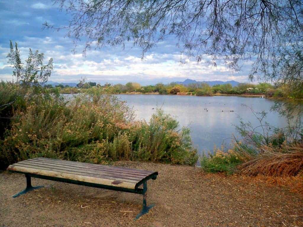 Riparian Preserve at Water Ranch