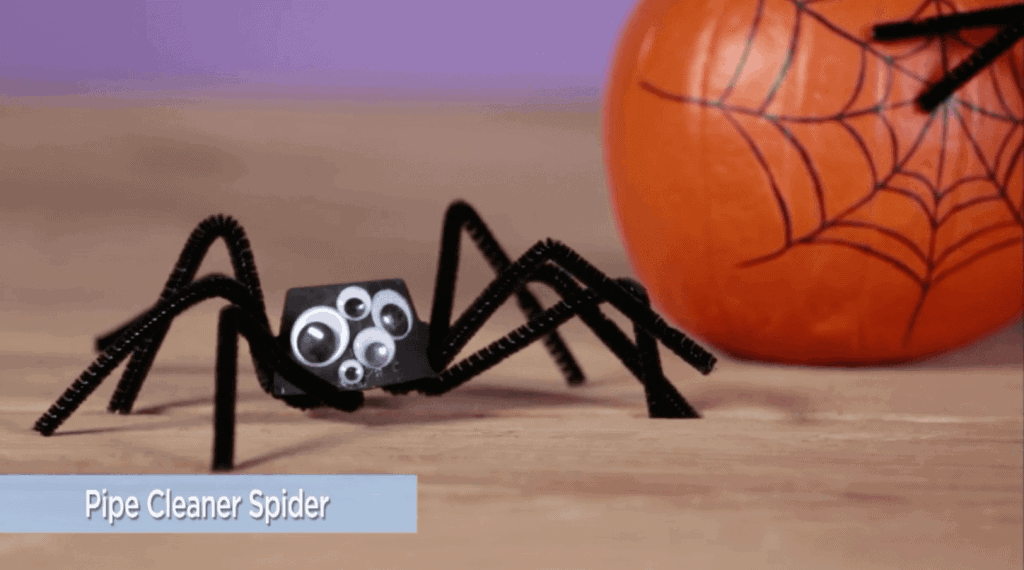 Pipe cleaner spider