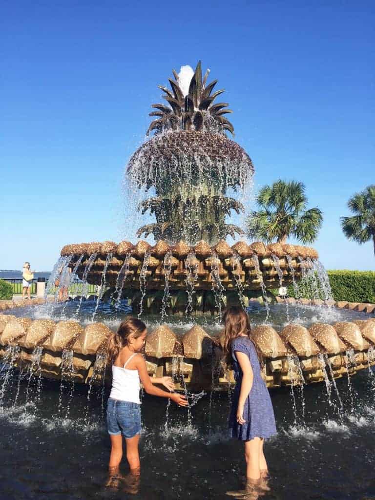 pineapple fountain