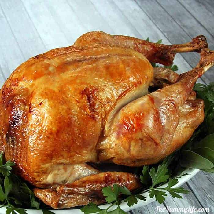 Thanksgiving Turkey