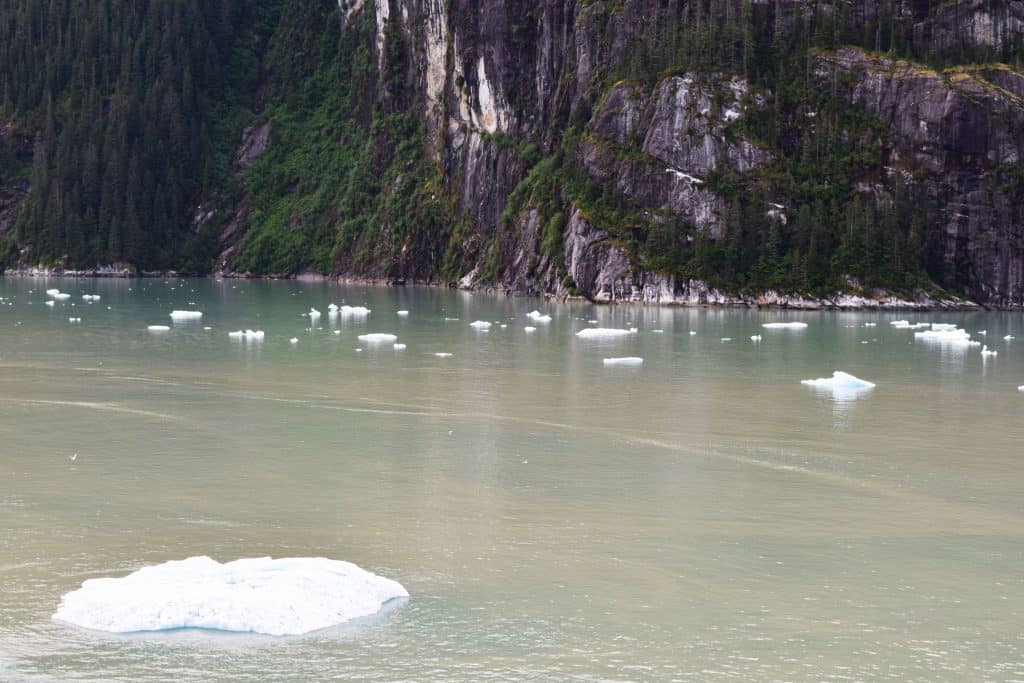 alaskan cruise