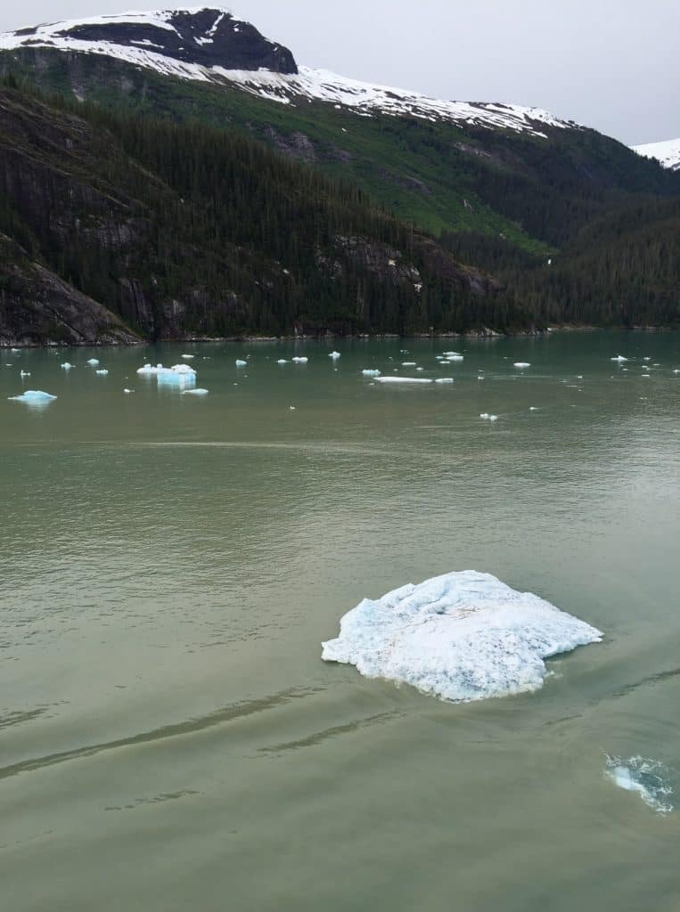 Alaskan Cruise