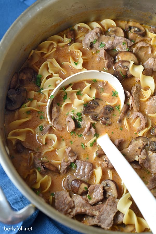 Beef-Stroganoff-Soup