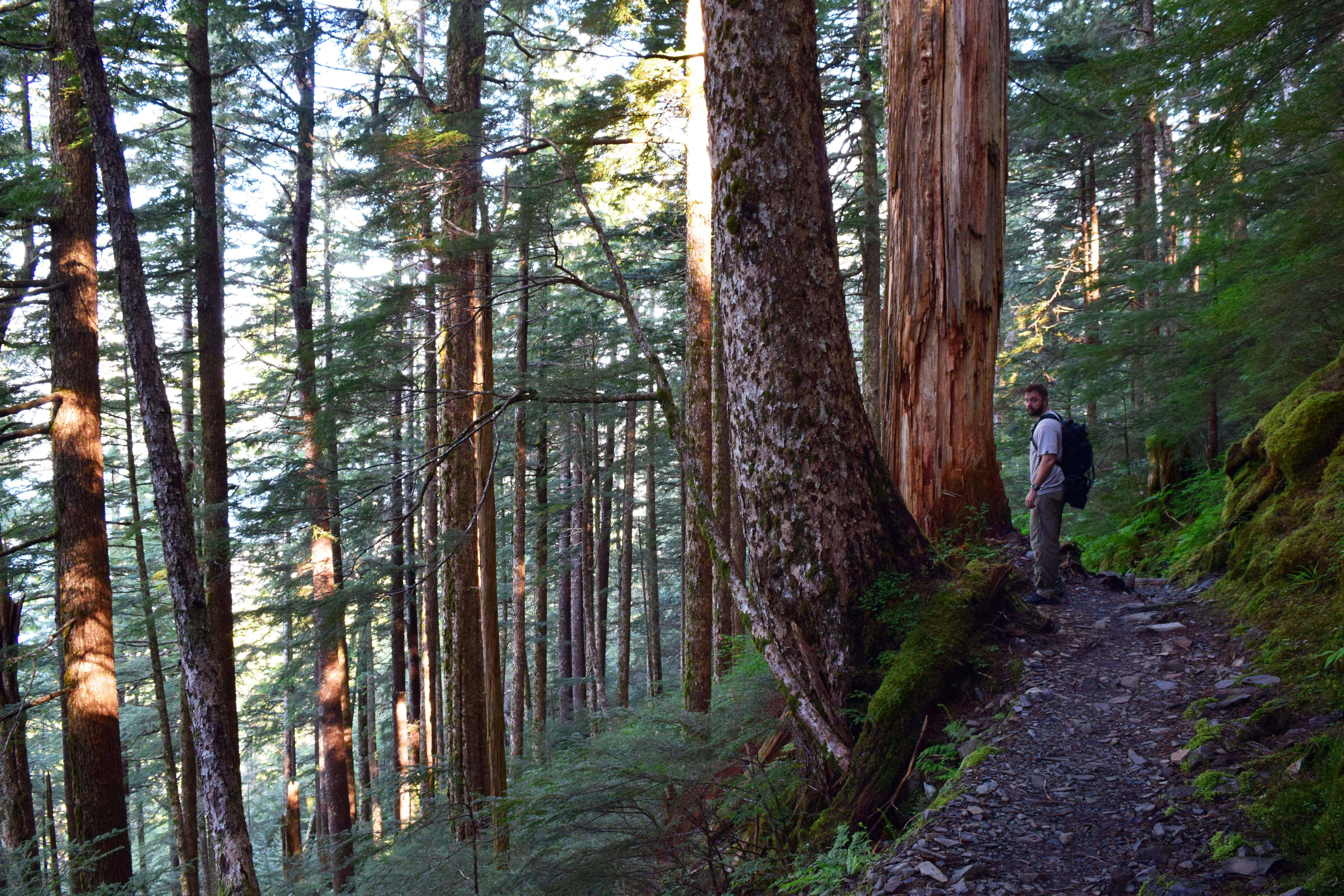 Deer Mountain Trail