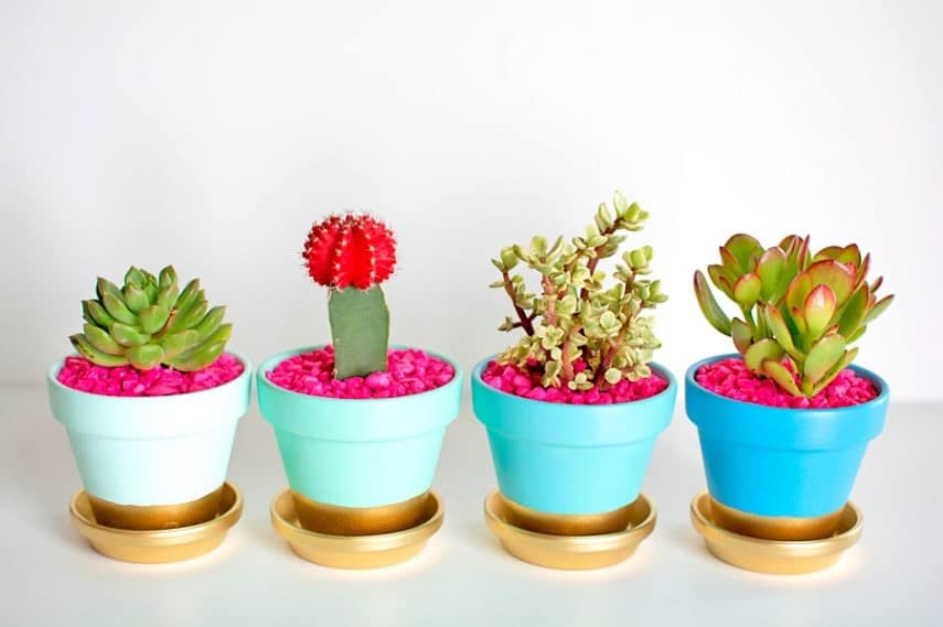 Gold-Dipped-Plant-Pots