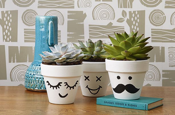 funny-faces-plant-pots