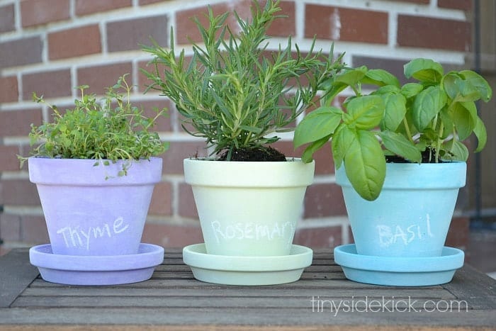 mini-herb-garden-with-chalkboard-painted-pots