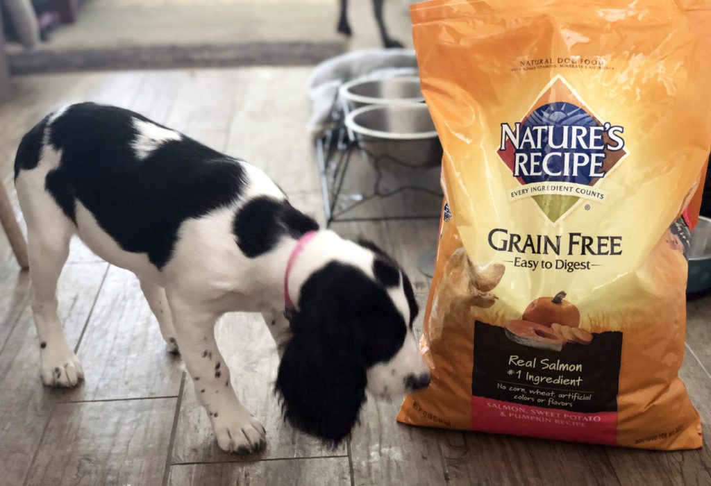 Nature recipe outlet puppy food