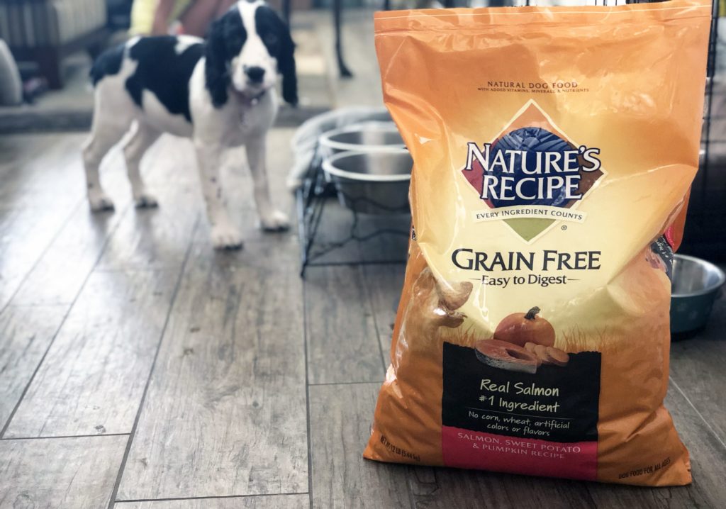 nature's recipe dog food